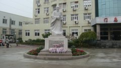 石雕匠心，镌刻医者风华